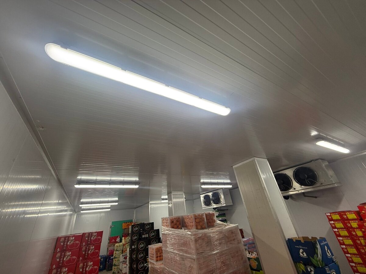 Long white LED batten lights on the ceiling of an insulated cold room with refrigeration units and stacked cartons