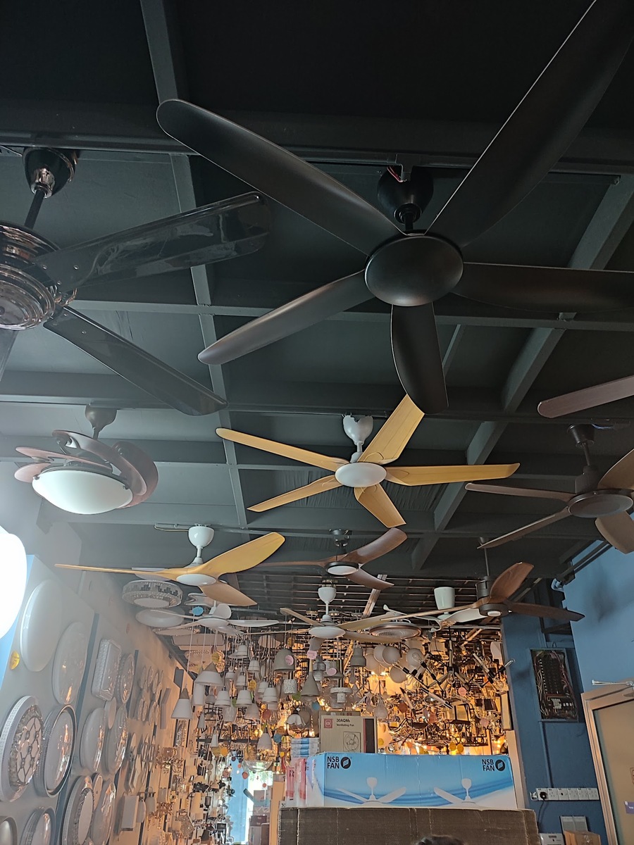 Shop ceiling with several wooden and black ceiling fans above a long aisle of hanging lamps and boxed fans