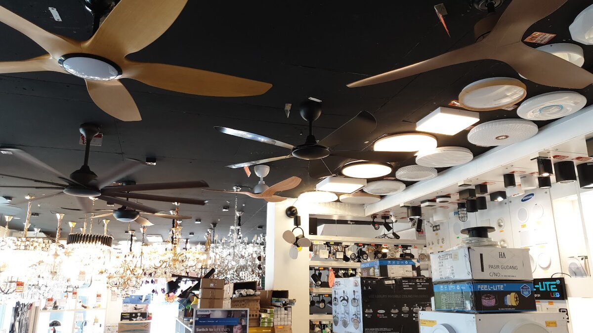 Showroom ceiling hung with wooden and black ceiling fans and round LED ceiling lights above shelves of boxed products